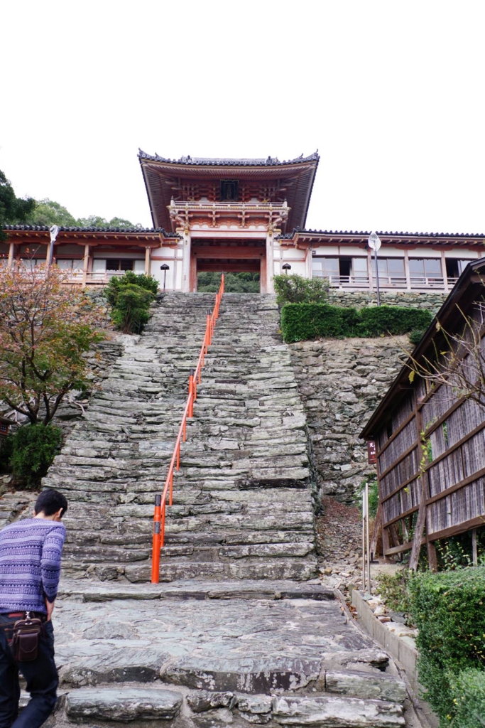 f:id:mubouan:20161114143407j:plain