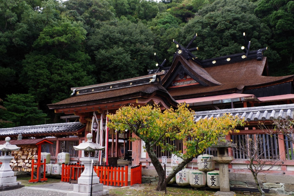 f:id:mubouan:20161114150018j:plain