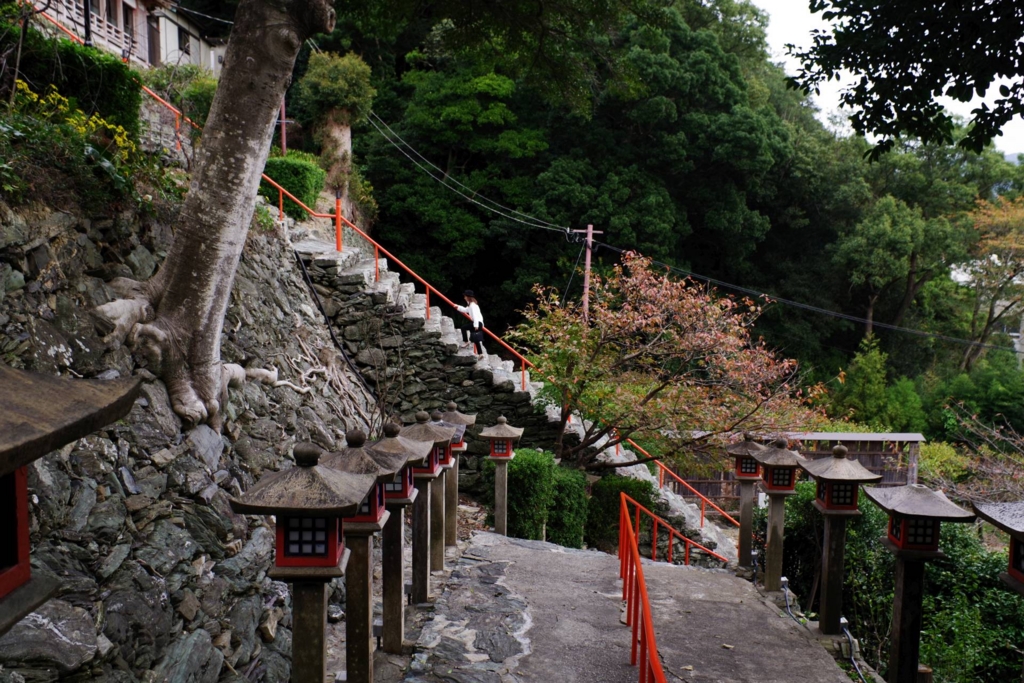 f:id:mubouan:20161114150854j:plain