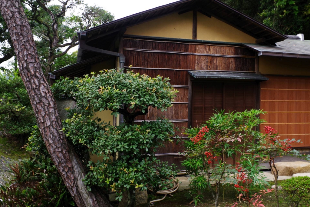 f:id:mubouan:20161114162409j:plain