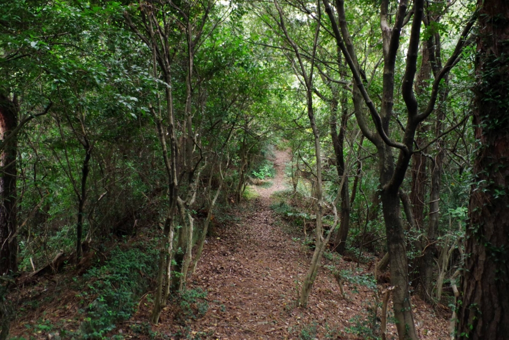 f:id:mubouan:20161114170857j:plain