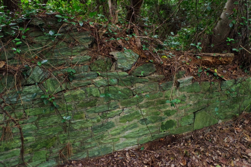 f:id:mubouan:20161114171051j:plain