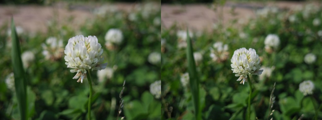 f:id:mubouan:20170610124634j:plain f:id:mubouan:20170610124634j:plain