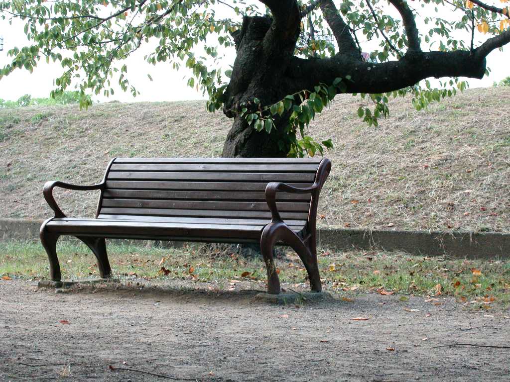 COOLPIX 5000を手に入れたのだけど - 堺風の頭部