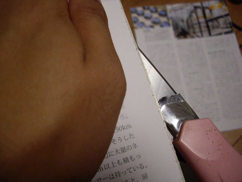 f:id:mubouan:20170918232201j:plain f:id:mubouan:20170918232201j:plain