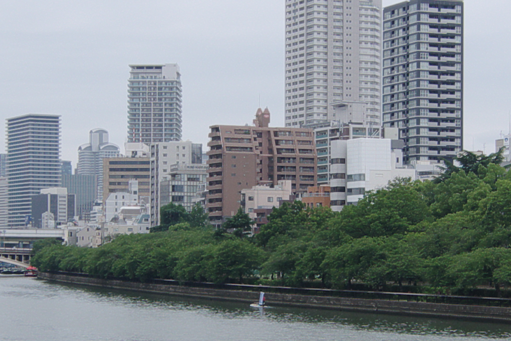 f:id:mubouan:20180612202255j:plain