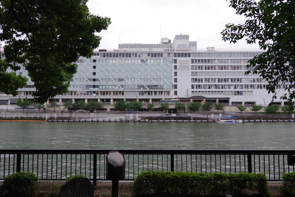 f:id:mubouan:20180612202756j:plain