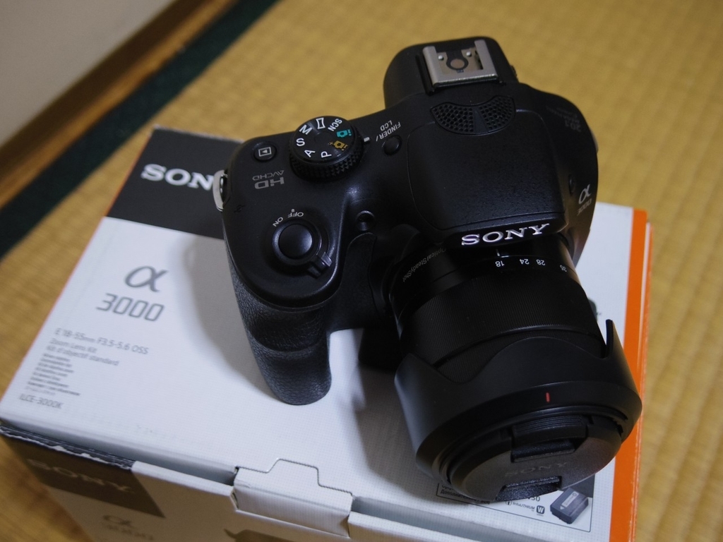 我が家のαショック2018 (α3000を買いました) - 堺風の頭部