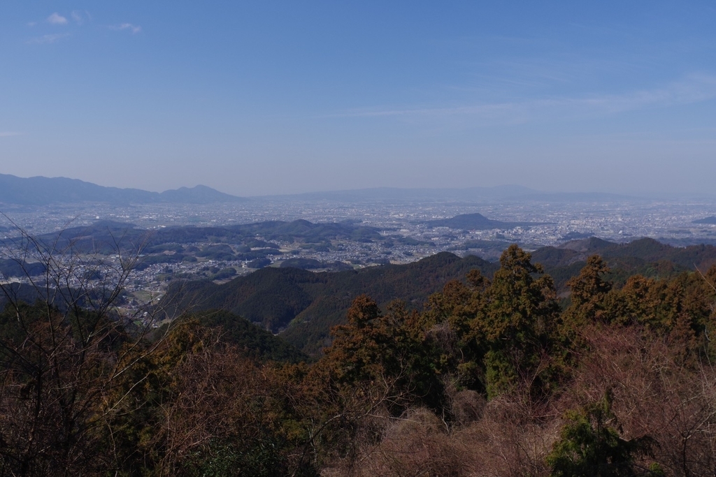 f:id:mubouan:20190309215819j:plain