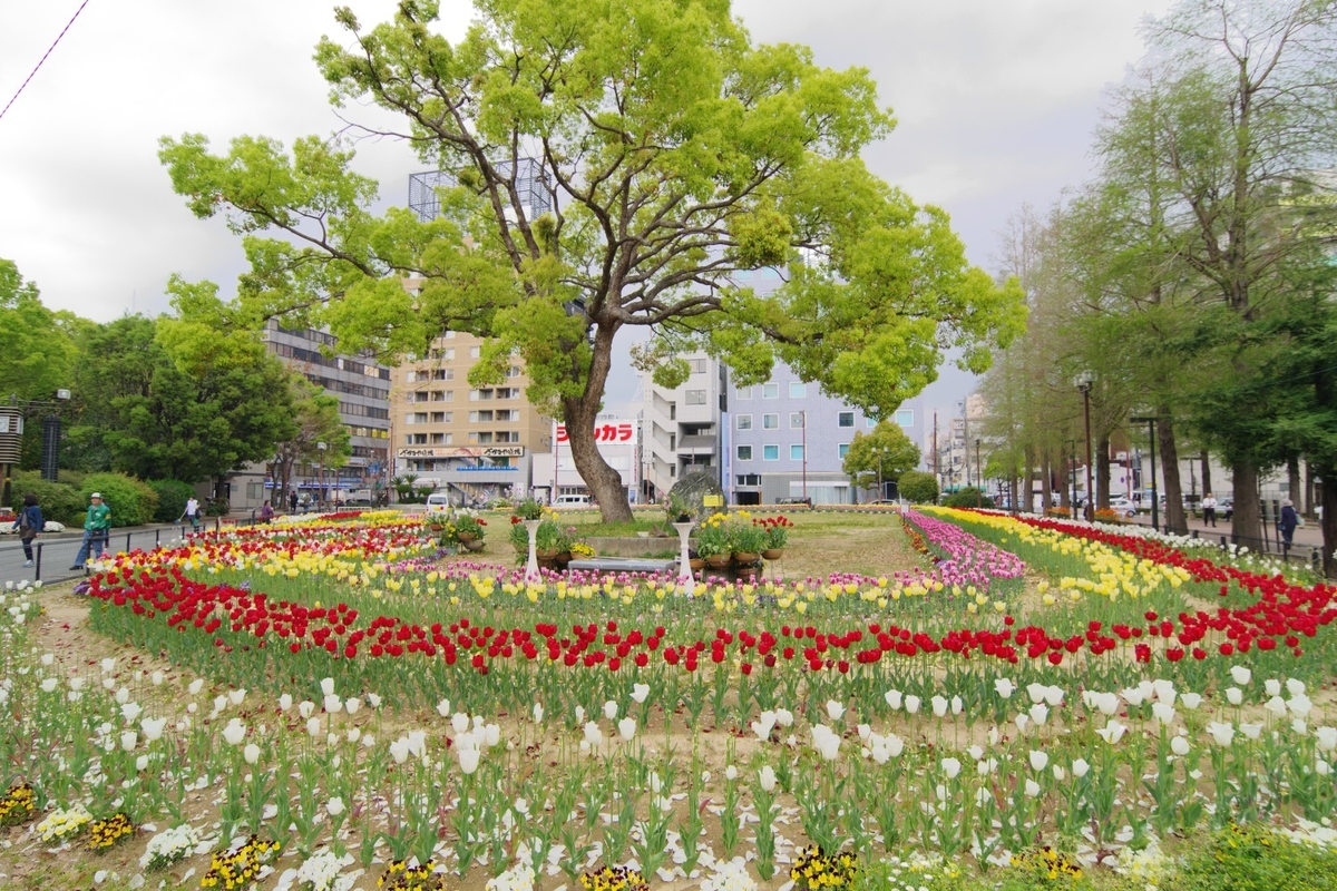 f:id:mubouan:20190419205928j:plain f:id:mubouan:20190419205928j:plain