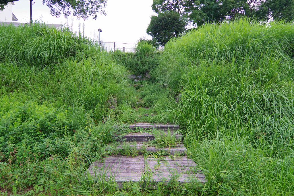 f:id:mubouan:20190823100748j:plain f:id:mubouan:20190823100748j:plain