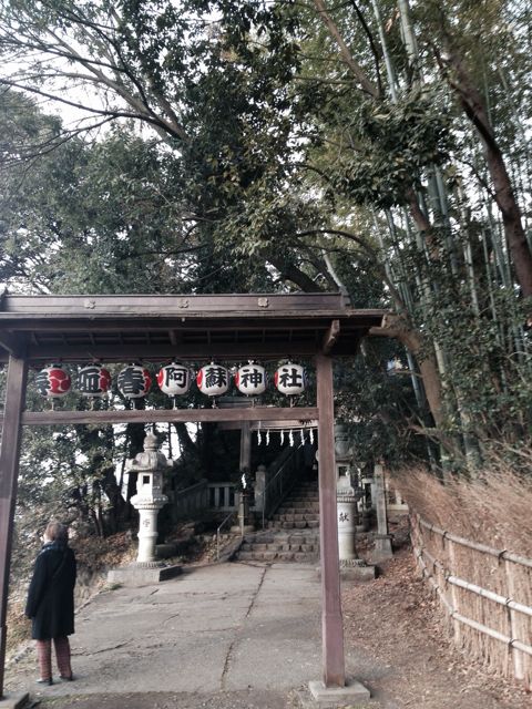 f:id:mucc11:20140104193048j:image