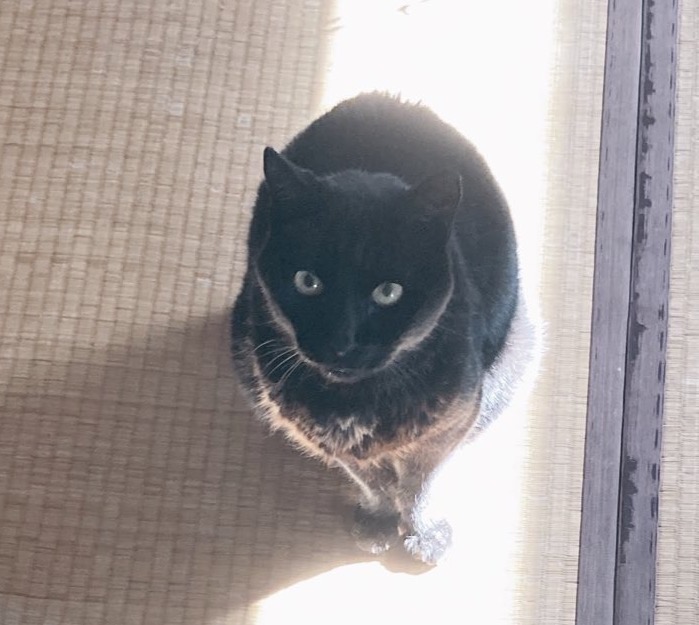 からなし