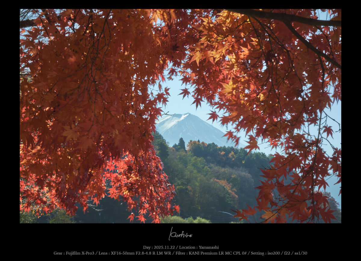 晩秋の富士 写真とは何なのか - #d4d7f8