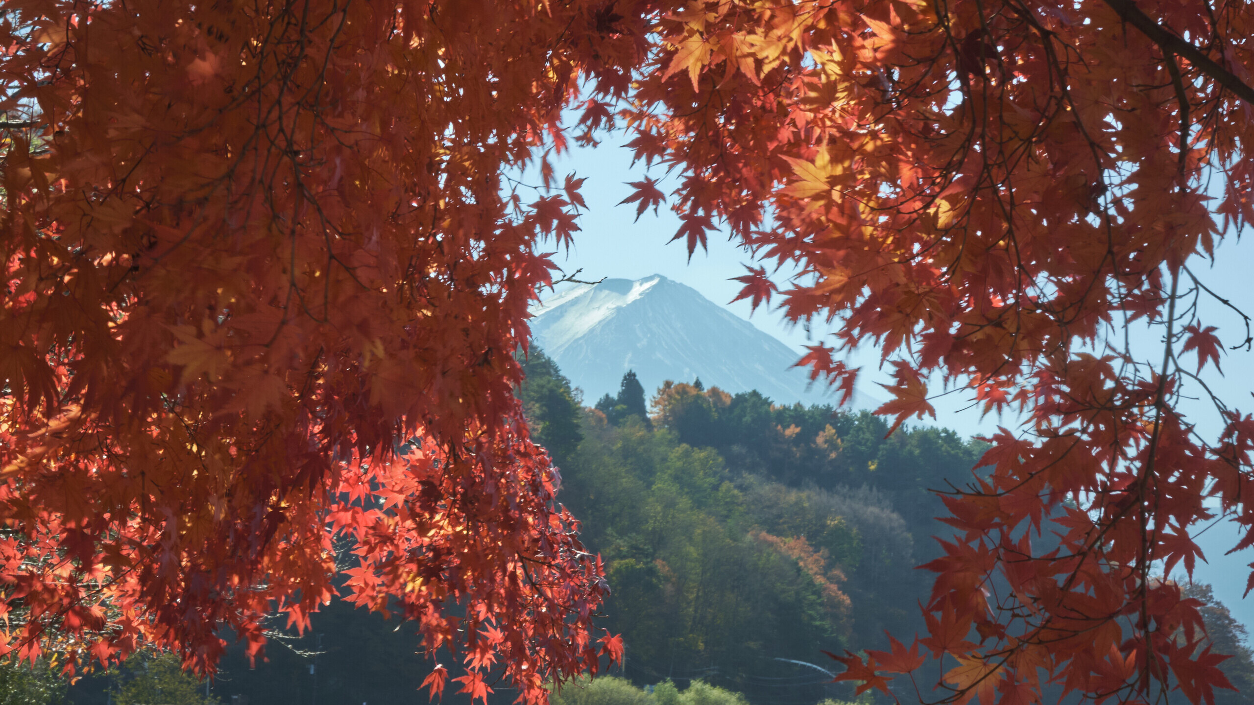 晩秋の富士 写真とは何なのか - #d4d7f8 ◢