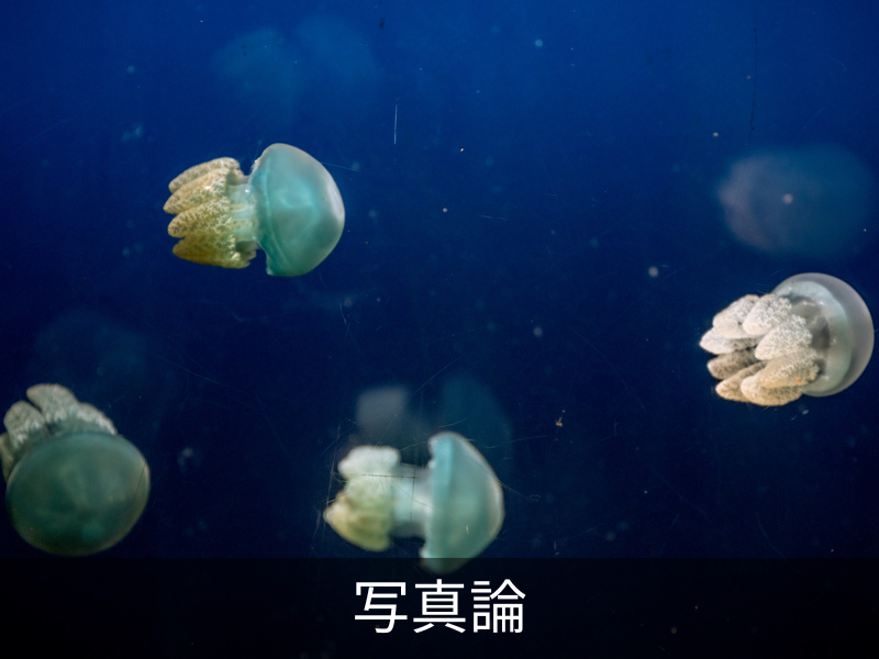 写真論