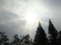 20090722085544