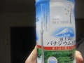 20090729214054