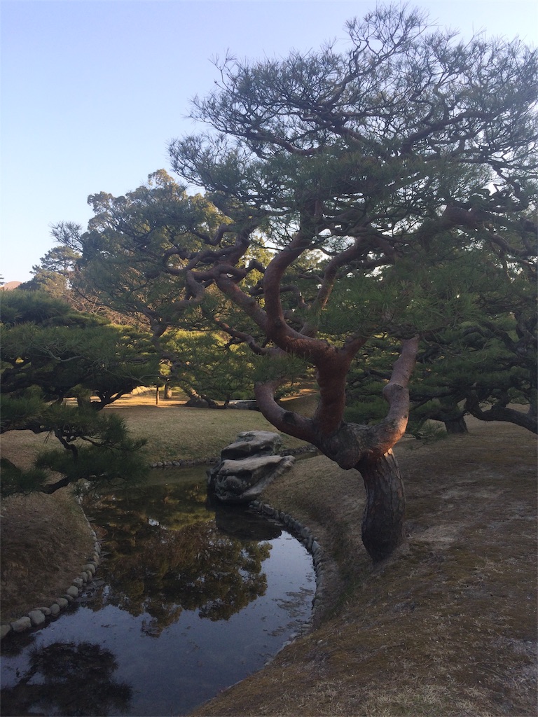 f:id:mucci:20170317185307j:image