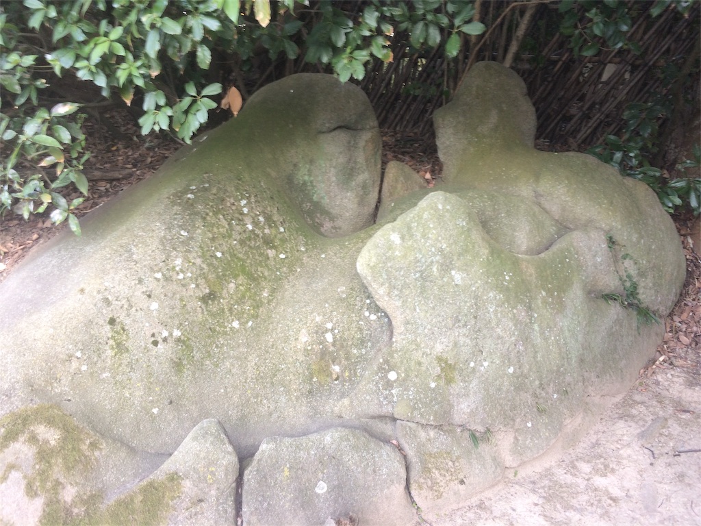 f:id:mucci:20170317185537j:image