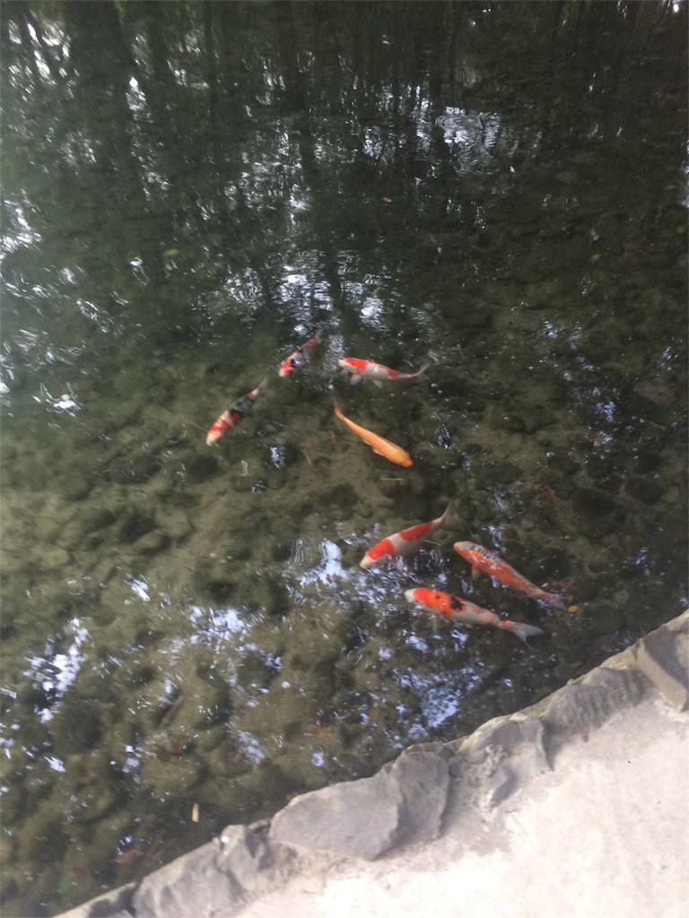 f:id:mucci:20170317185704j:image