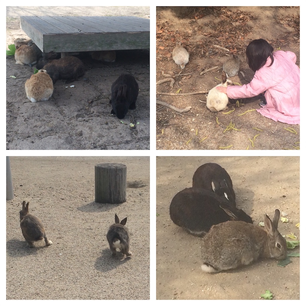 f:id:mucci:20170320111941j:image