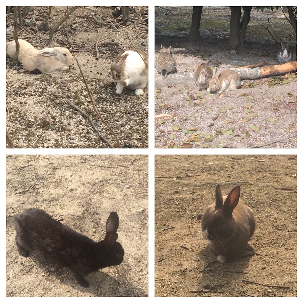 f:id:mucci:20170320112004j:image