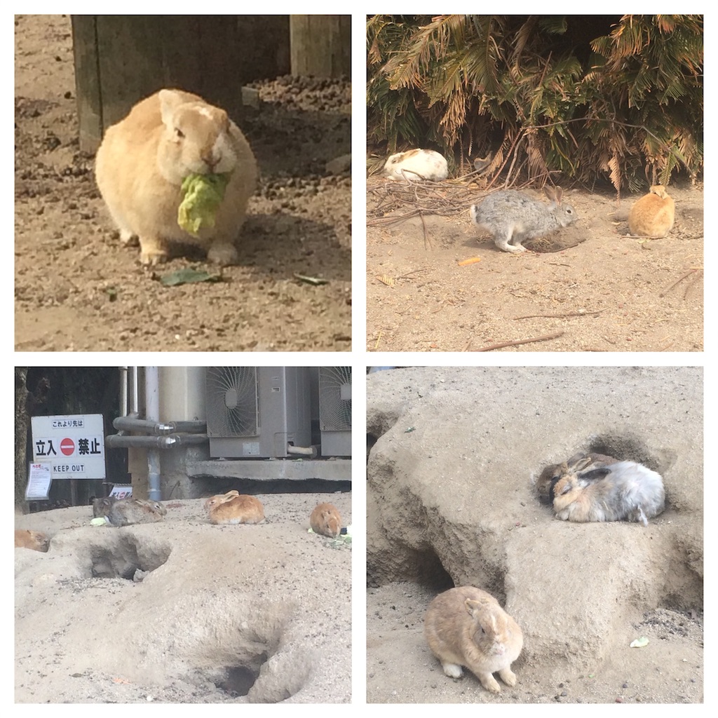 f:id:mucci:20170320112051j:image