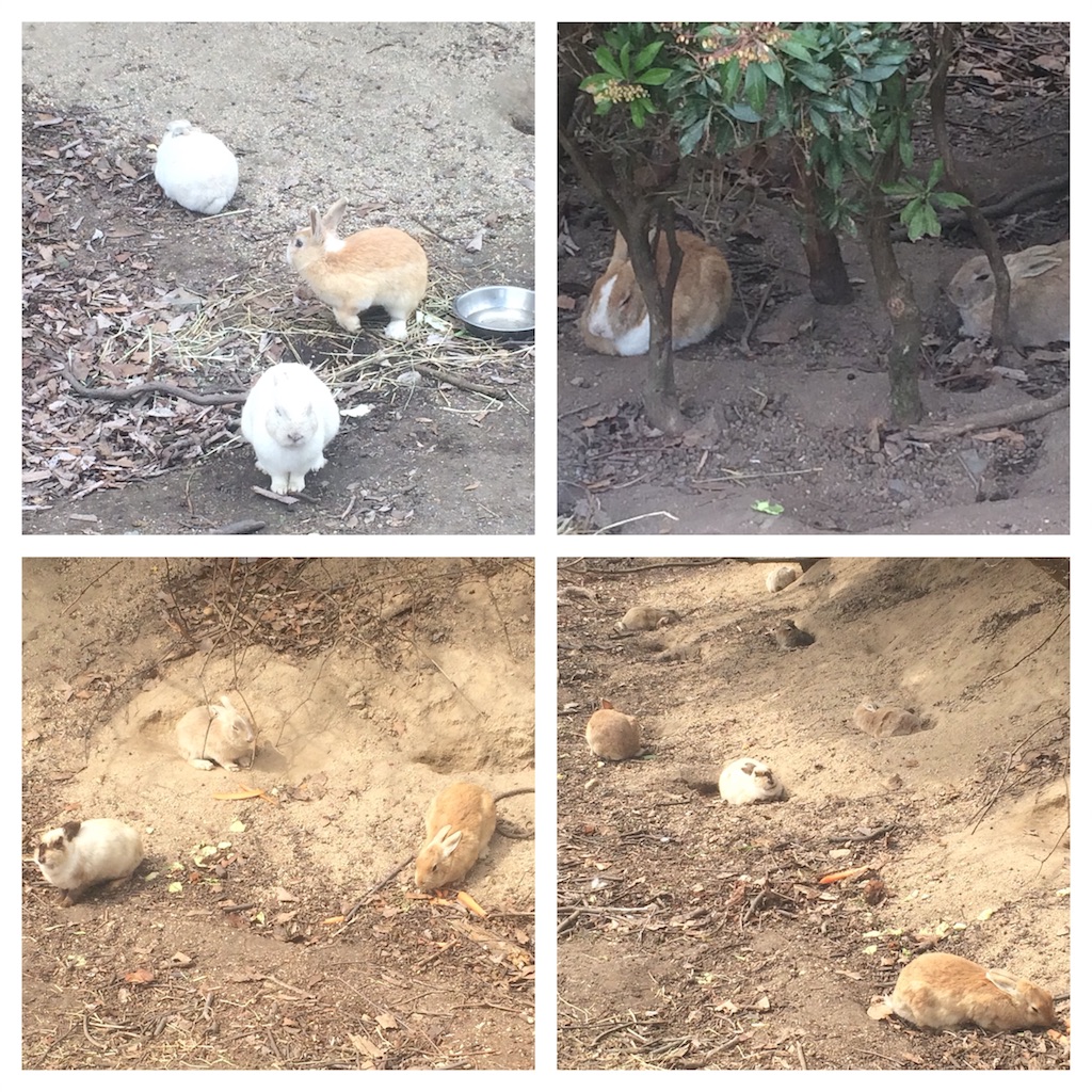 f:id:mucci:20170320112354j:image