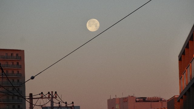 f:id:mucci:20190213144307j:image f:id:mucci:20190213144307j:image