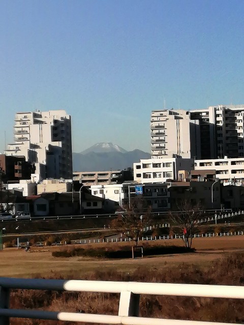 f:id:mucci:20201226083028j:image