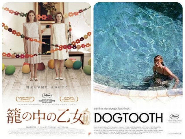 f:id:mucci:20240216184230j:image