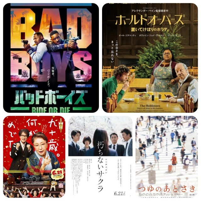 f:id:mucci:20240615061548j:image