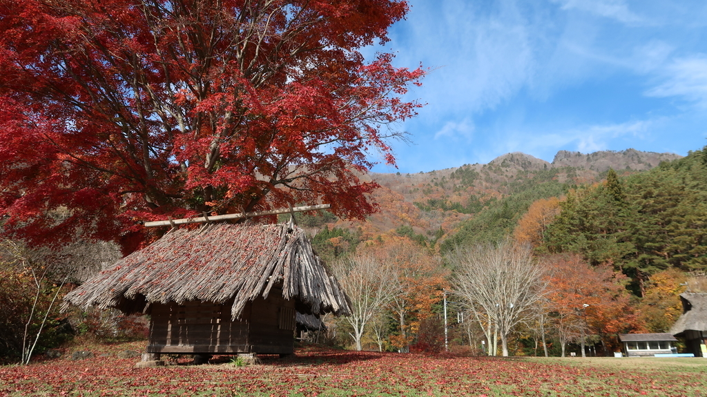 f:id:much_too_romantic:20181115114500j:plain