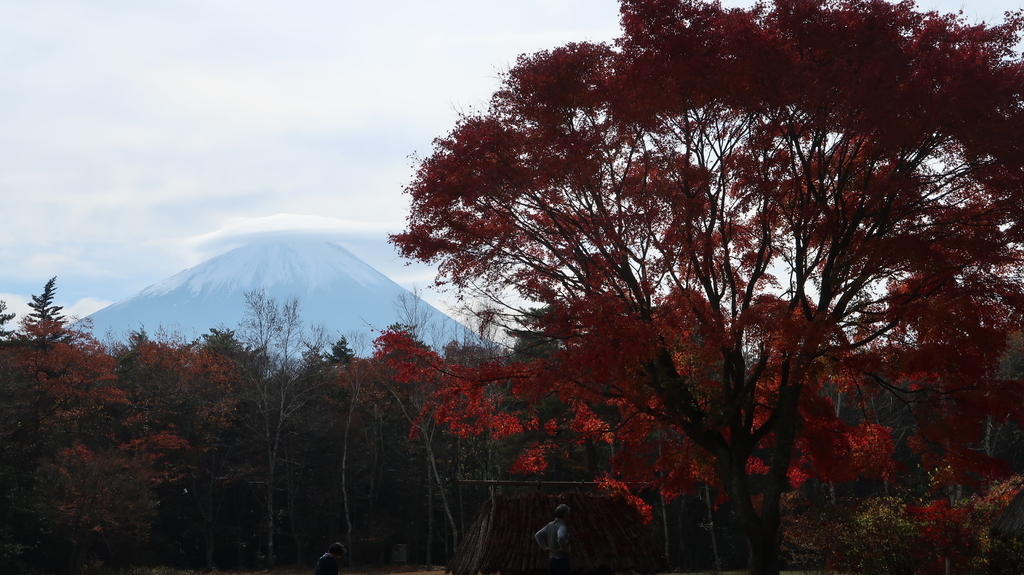 f:id:much_too_romantic:20181115131048j:plain