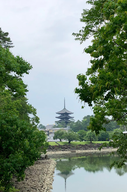 f:id:muchacafe:20190711204859j:plain f:id:muchacafe:20190711204859j:plain