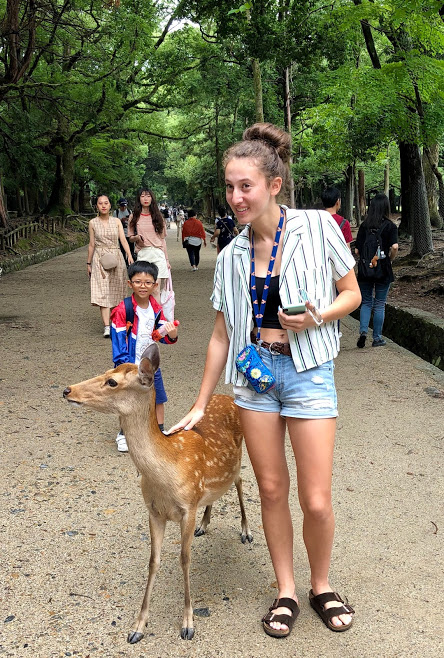 f:id:muchacafe:20190711204927j:plain f:id:muchacafe:20190711204927j:plain