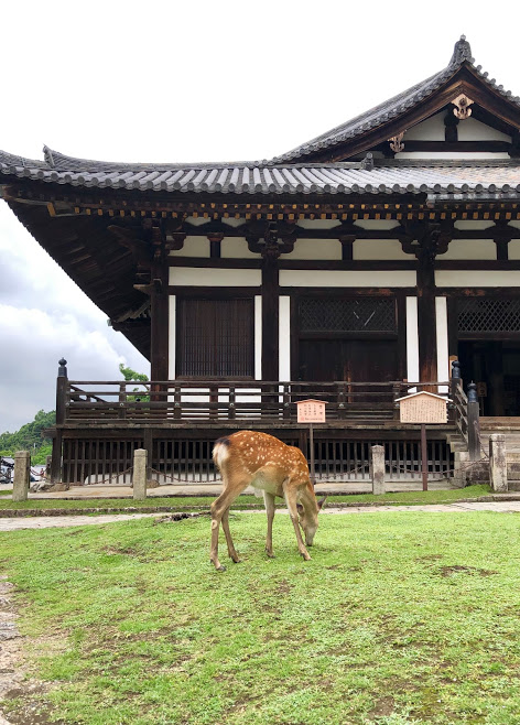 f:id:muchacafe:20190711205147j:plain f:id:muchacafe:20190711205147j:plain