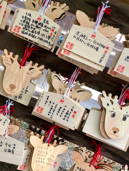 f:id:muchacafe:20190711205207j:plain f:id:muchacafe:20190711205207j:plain