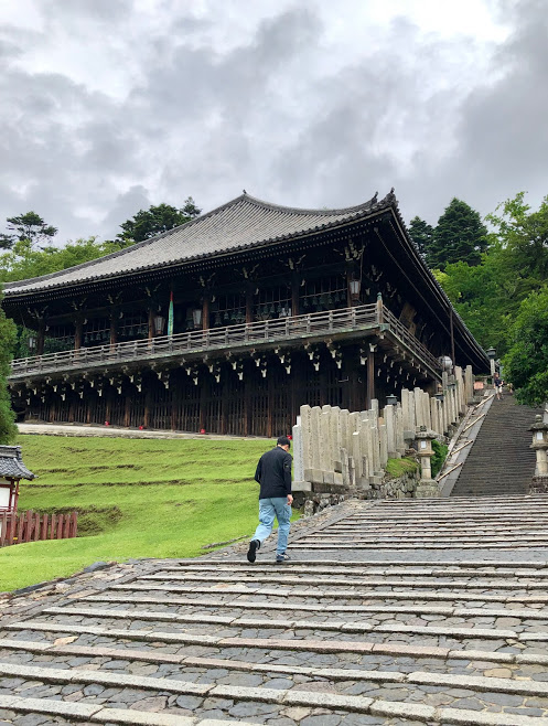 f:id:muchacafe:20190711205234j:plain f:id:muchacafe:20190711205234j:plain