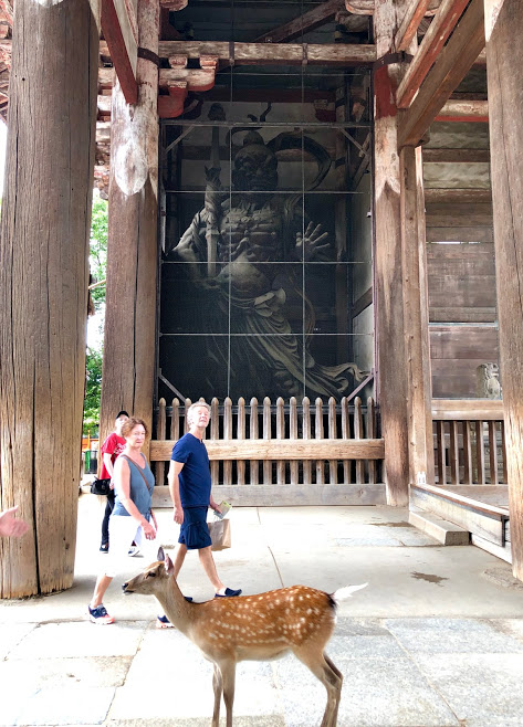 f:id:muchacafe:20190711205716j:plain f:id:muchacafe:20190711205716j:plain