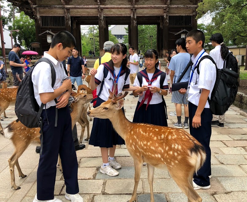 f:id:muchacafe:20190711210129j:plain f:id:muchacafe:20190711210129j:plain