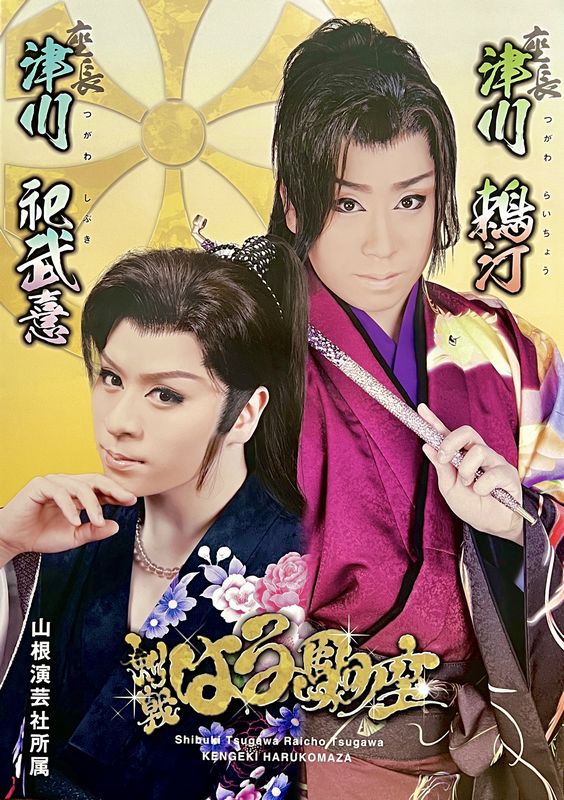 4回めの観劇 三吉演芸場 剣戟はる駒座 『珍説初夢』 - 大衆演劇☆観劇