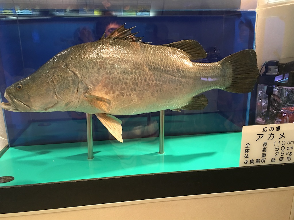 f:id:muchikin:20160815062900j:image