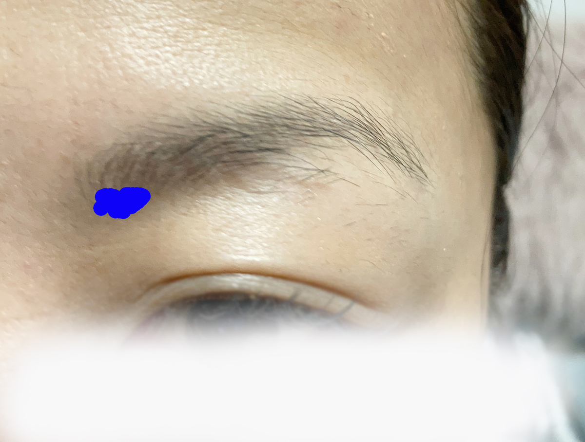 f:id:muchinimuchi:20210225132355j:plain