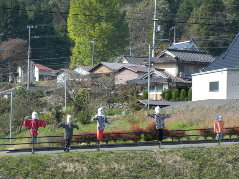 [美山]