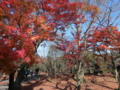 [東福寺]