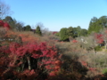 [東福寺]