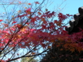 [東福寺]