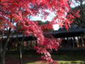 [東福寺]